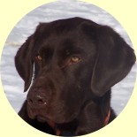 hunter photo